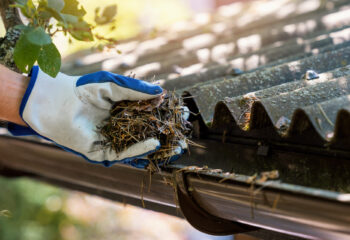 K&M General Construction Gutter Cleaning